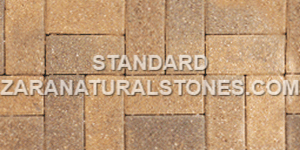 Standard Interlock Stones