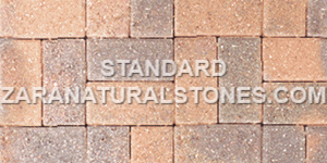 Standard Interlock Stones